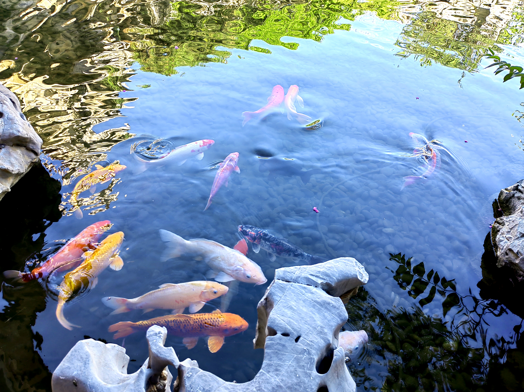 391be1a3a3ef92e0aa359a1bf384a575.png